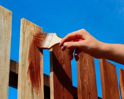 POLO PAINTING RESOURCE